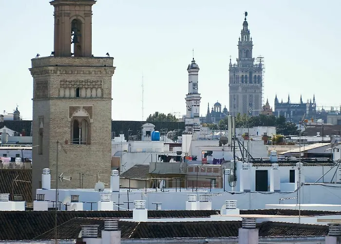 Espectacular Apt. En Casco Historico 3*